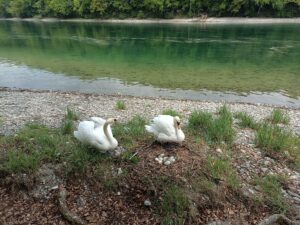 Étape 6 : Schauffhausen vers Mammern — photo 3