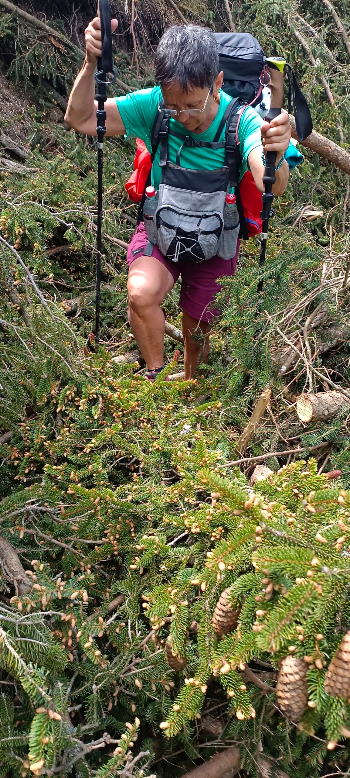 Étape 15 : Unterjoch vers Füssen — photo 2