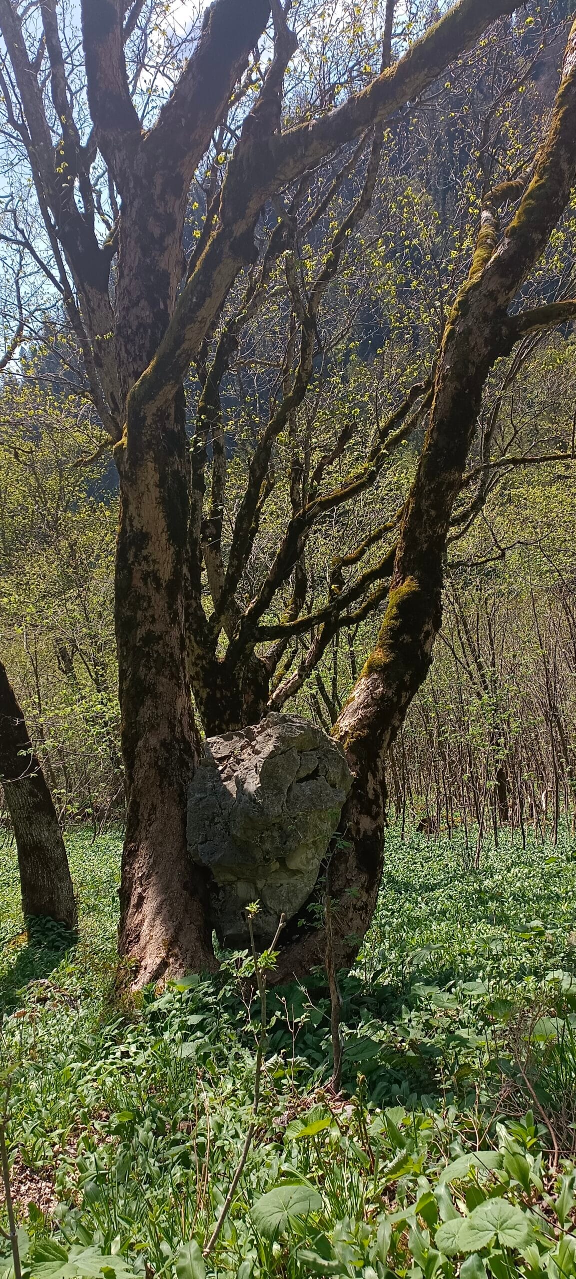 Étape 17 : la Kenzenhütte vers Oberammergau — photo 2