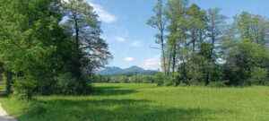 Étape 25 : Prien Am Chiemsee vers Langmoos