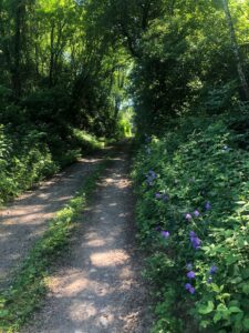 Étape 46 : Herzogenburg vers Siegersdorf — photo 3