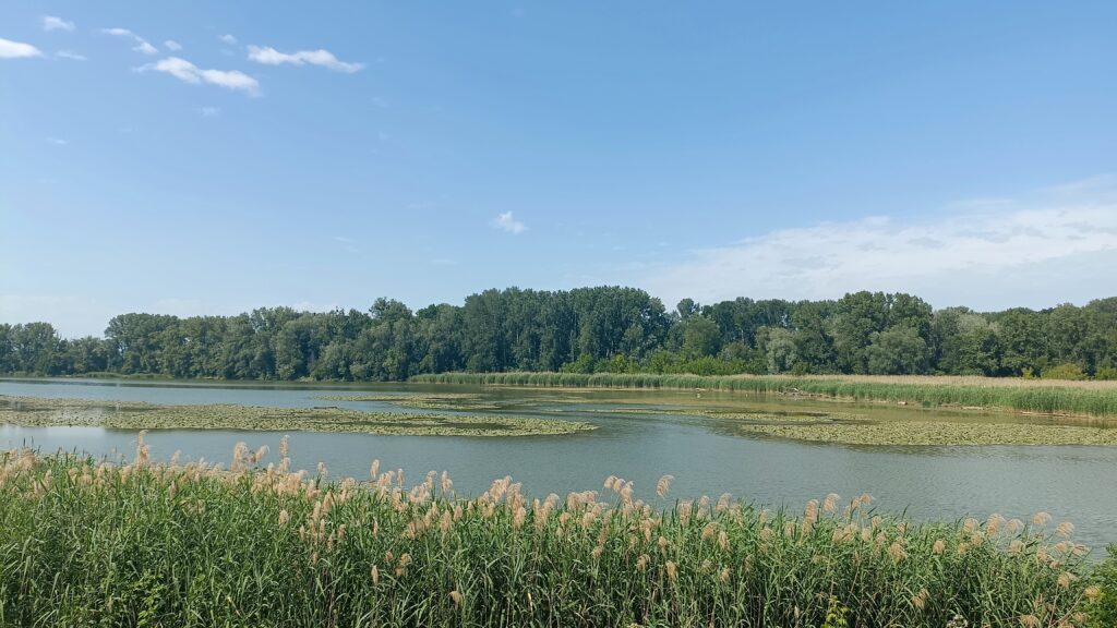 Étape 49 : Vienne vers Orth and der Donau — photo 3