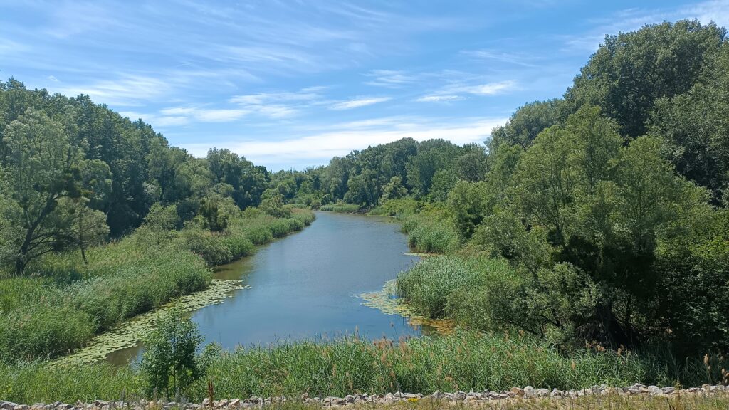 Étape 50 : Orth and der Donau vers Wolfsthal — photo 2