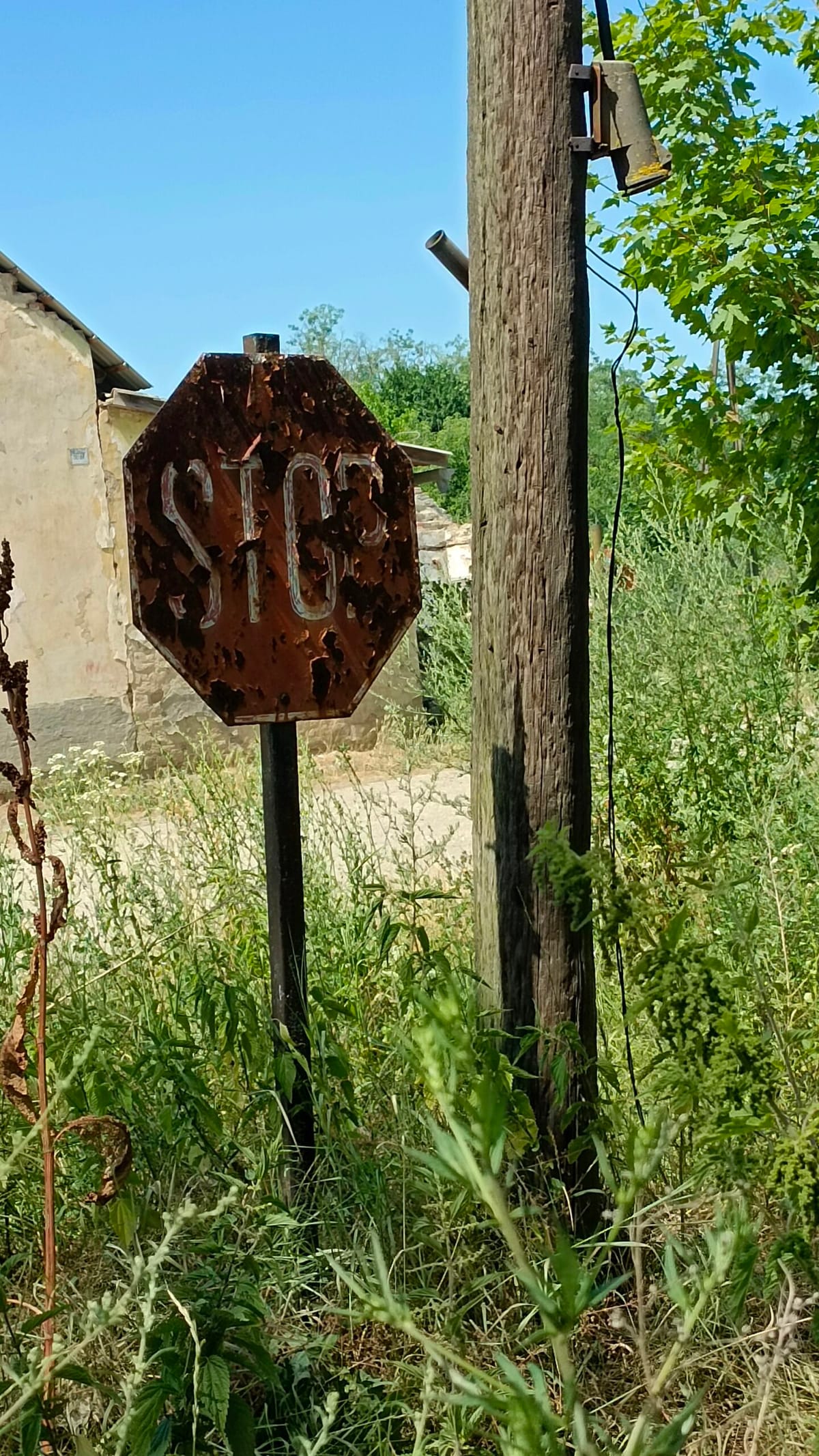 Étape 59 : Kisber vers Nagyigmand — photo 2