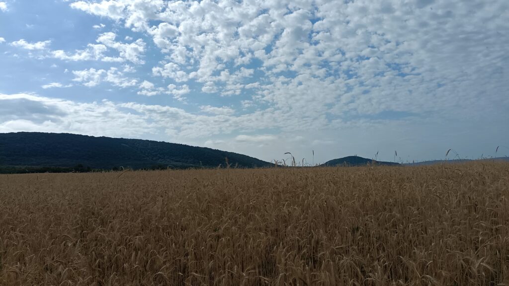 Étape 61 : Tata vers Tarjan — photo 2
