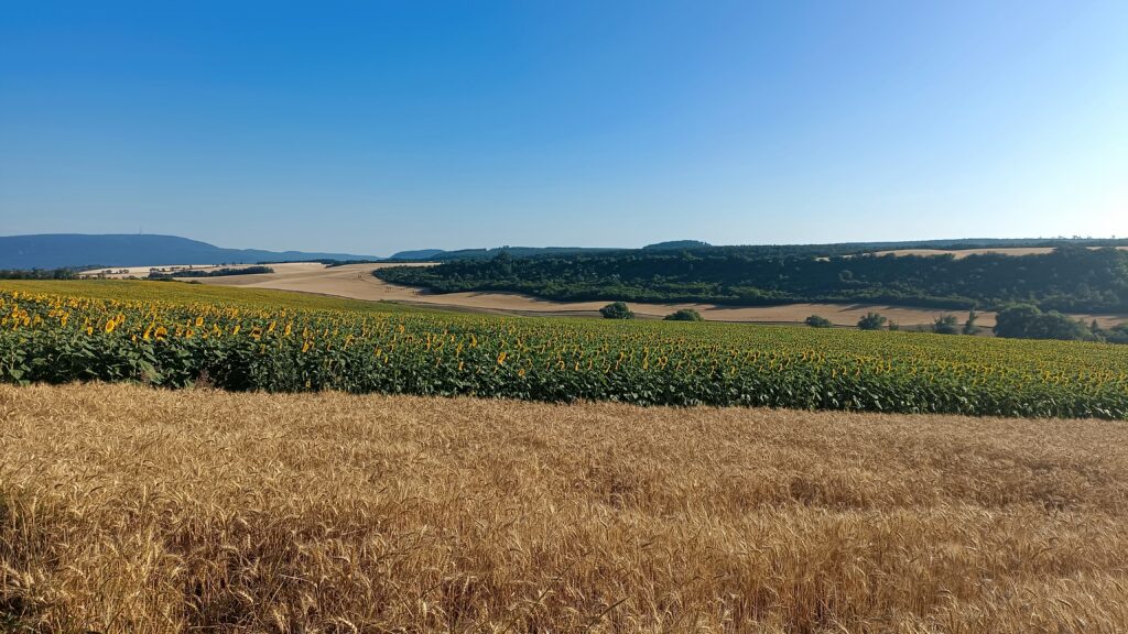 Étape 62 : Tarjan vers Zsamsbek