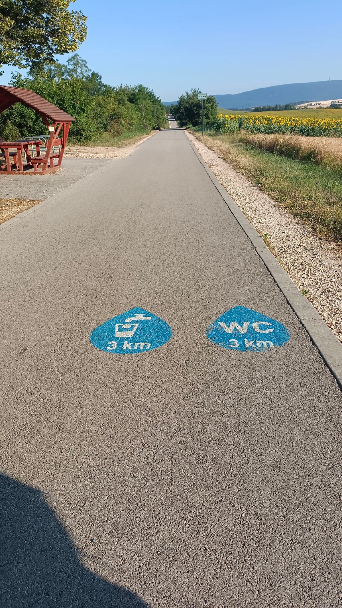 Étape 62 : Tarjan vers Zsamsbek — photo 2
