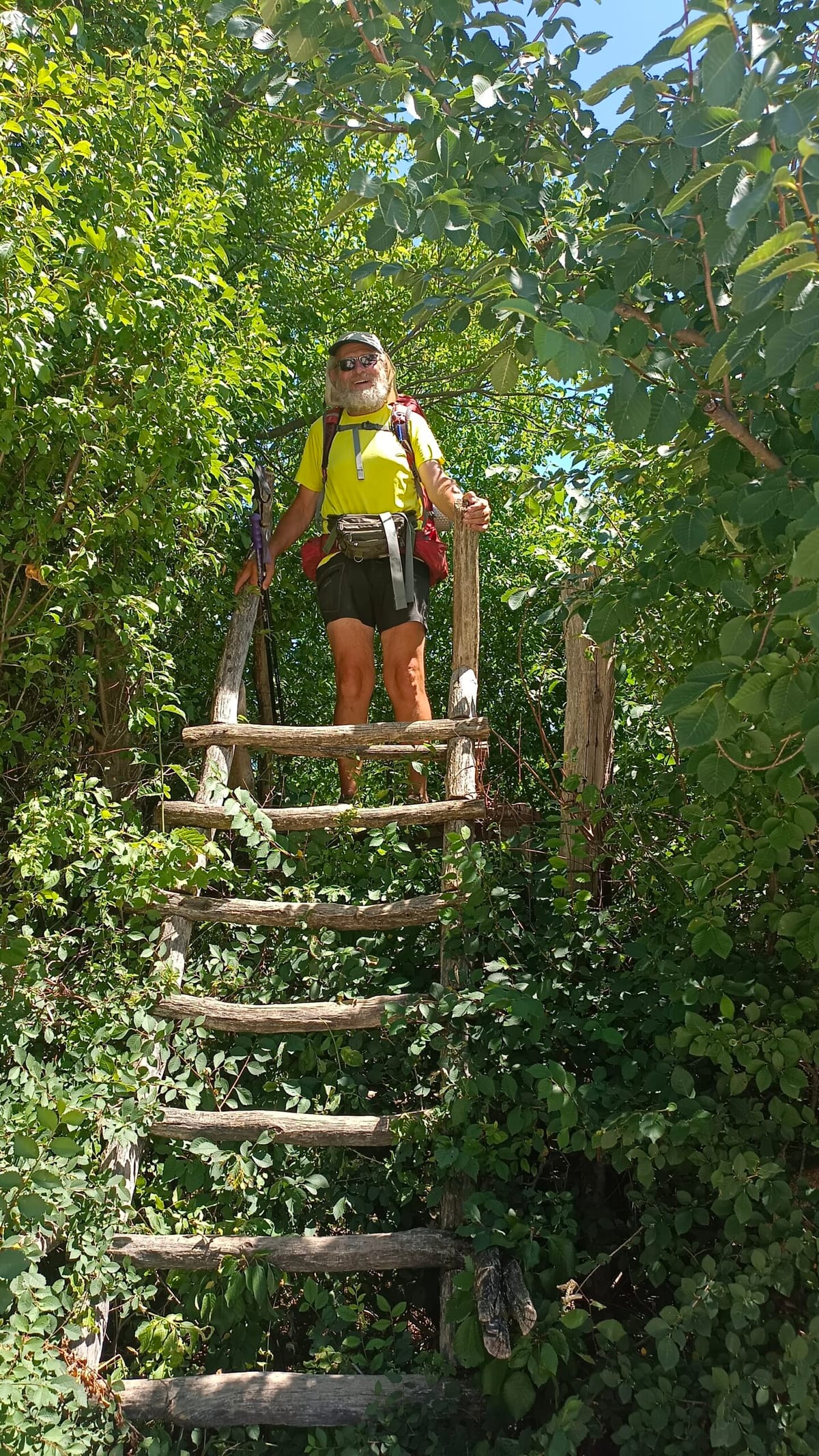 Étape 63 : Zsamsbek vers l’auberge de pèlerinage de Budakeszi