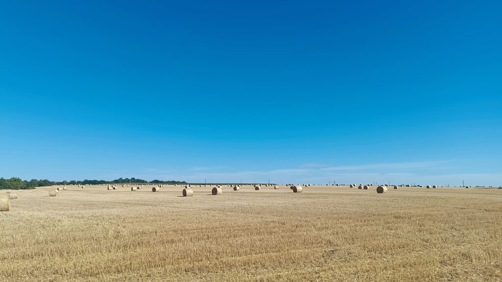 Étape 72 : Dunaszekcso vers Satorelhy — photo 2