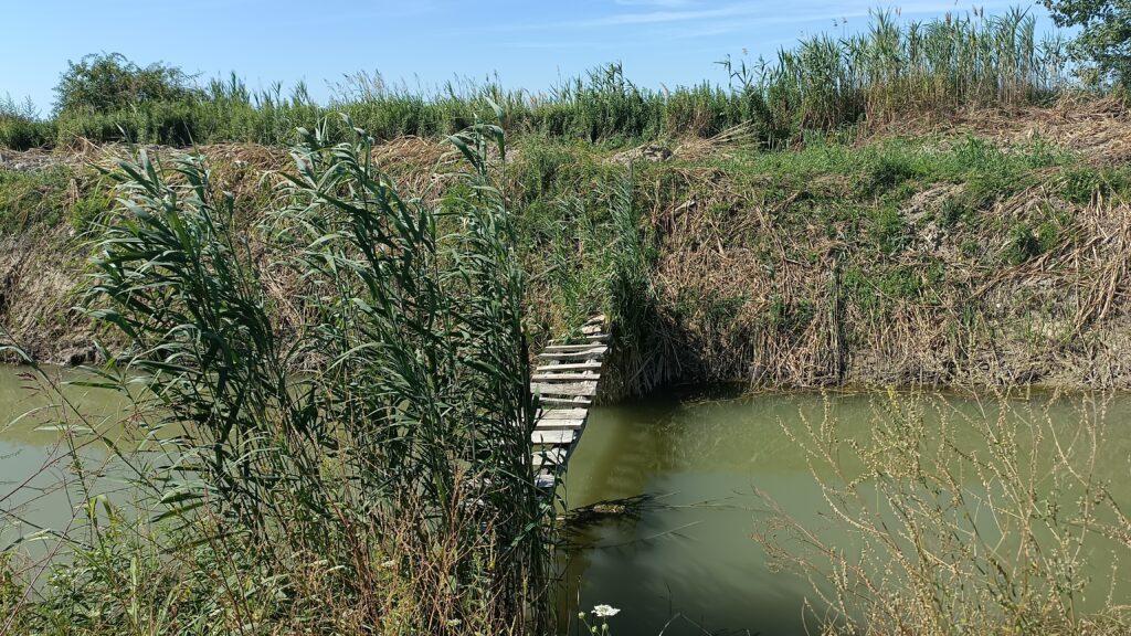 Étape 76 : Apatin vers Sonta — photo 2