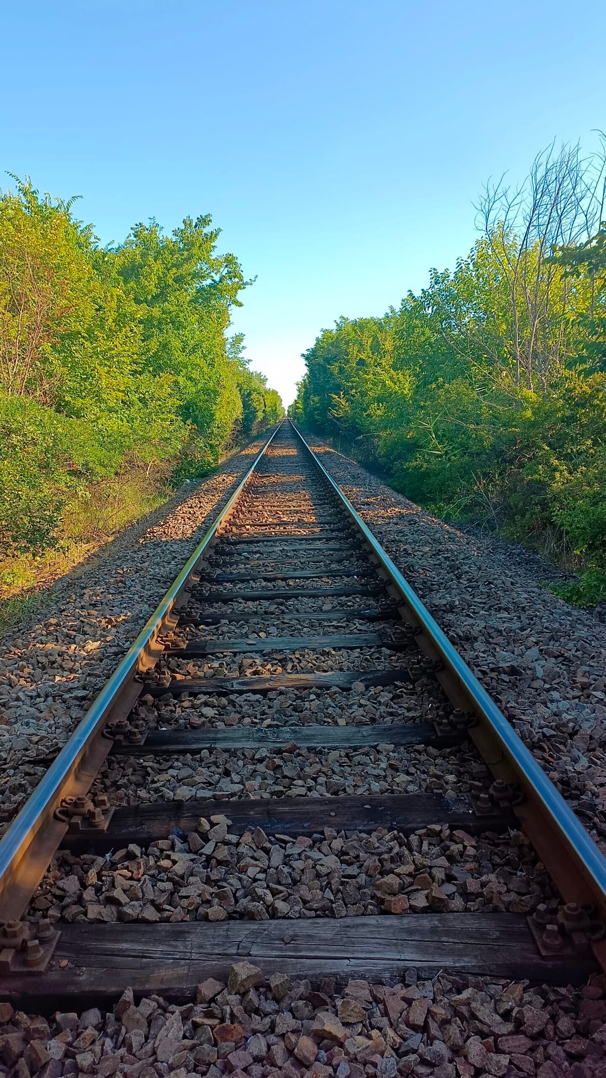 Serbie — photo 6