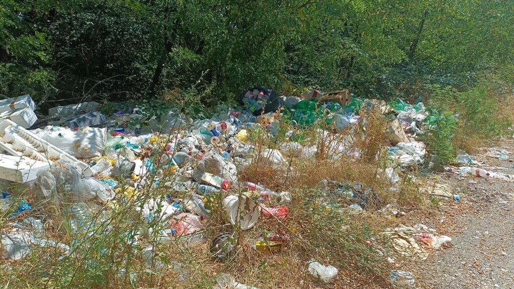 Étape 86 : Lazarevac vers Ljig — photo 2