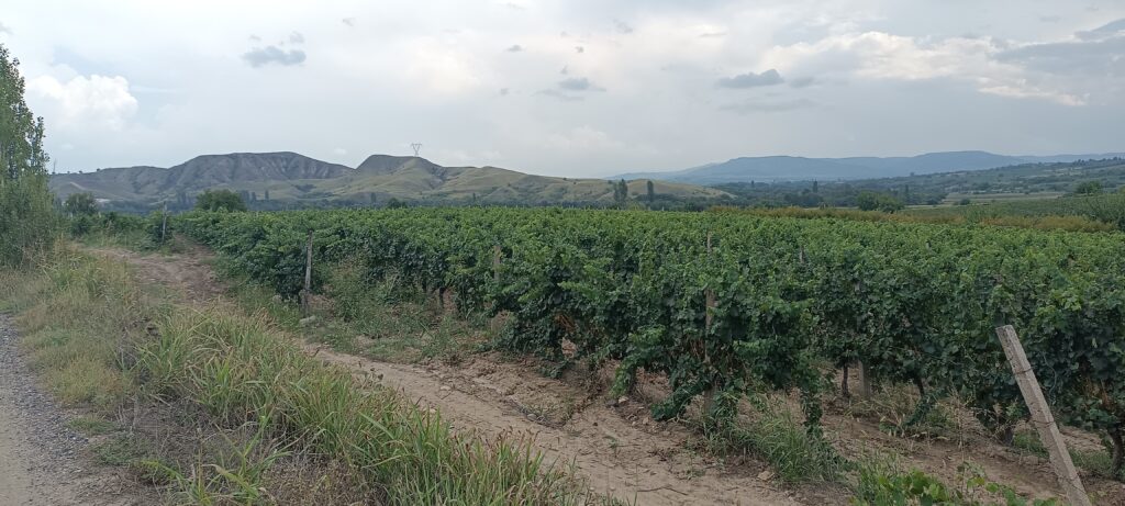 Étape 110 : Gradsko vers Negotino — photo 4