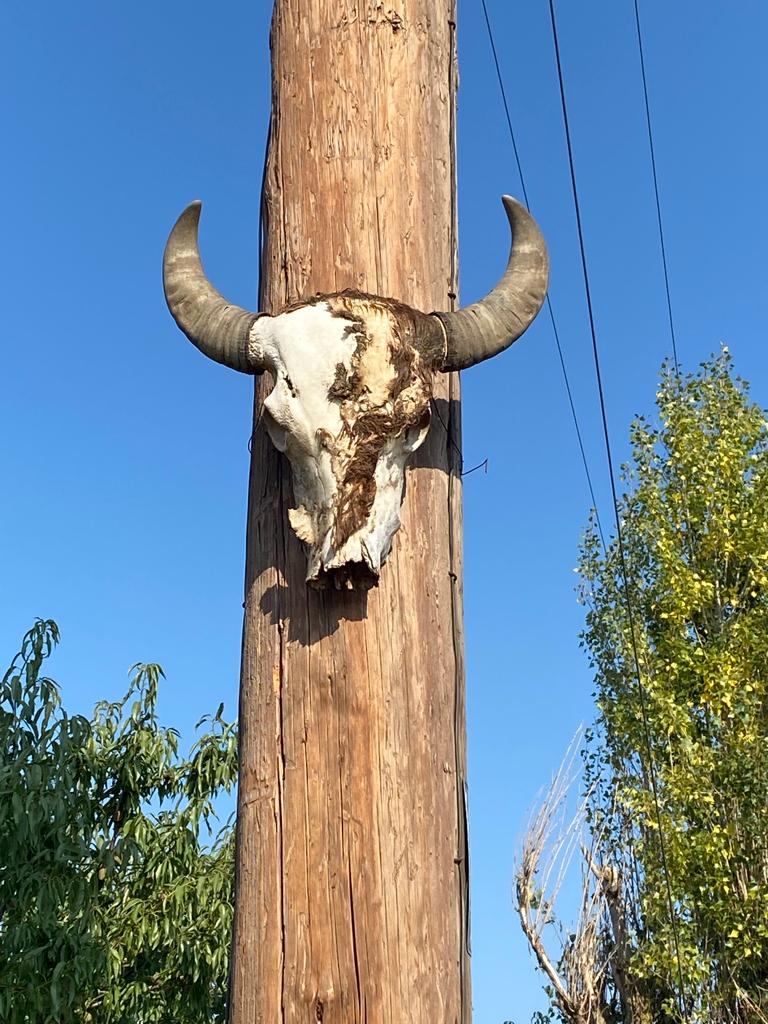 Étape 115 : Loutra Volvis vers Stavros — photo 4