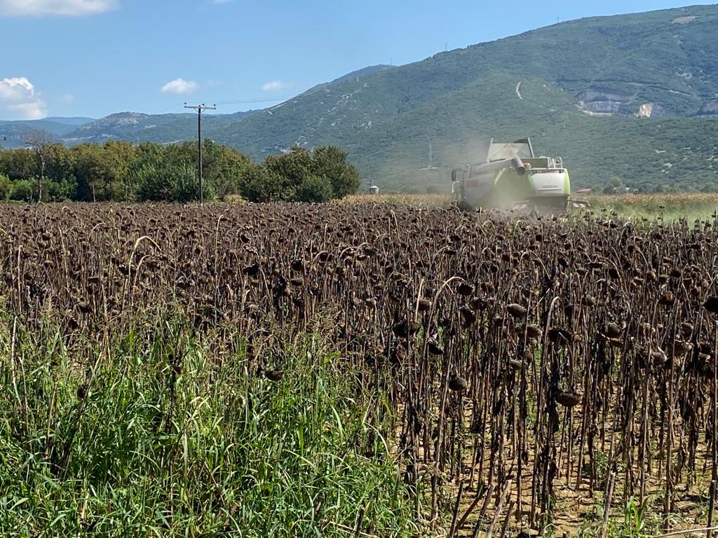 Étape 120 : Krinides vers Kavala — photo 6
