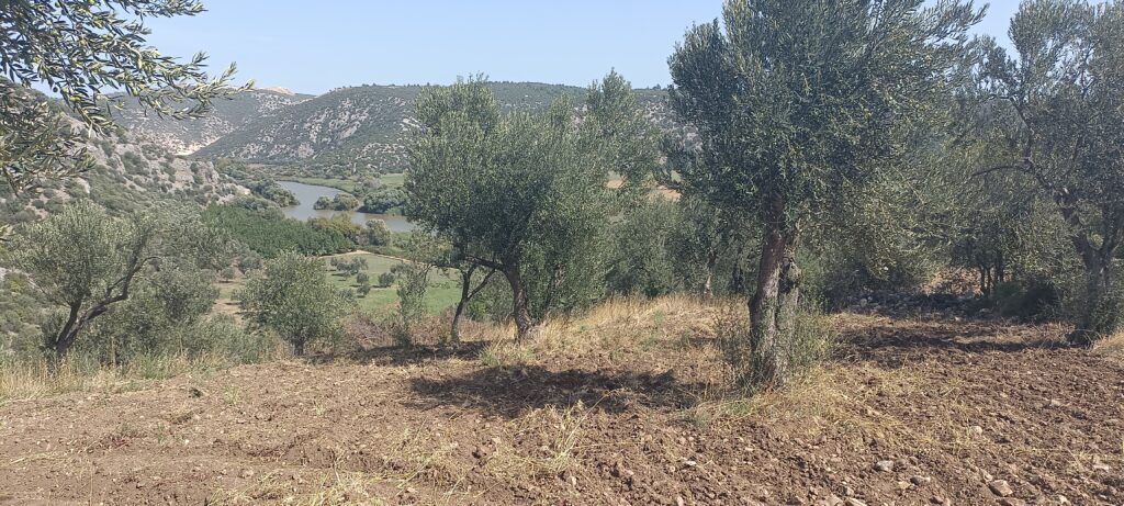 Étape 131 : Troya vers Ezine — photo 5