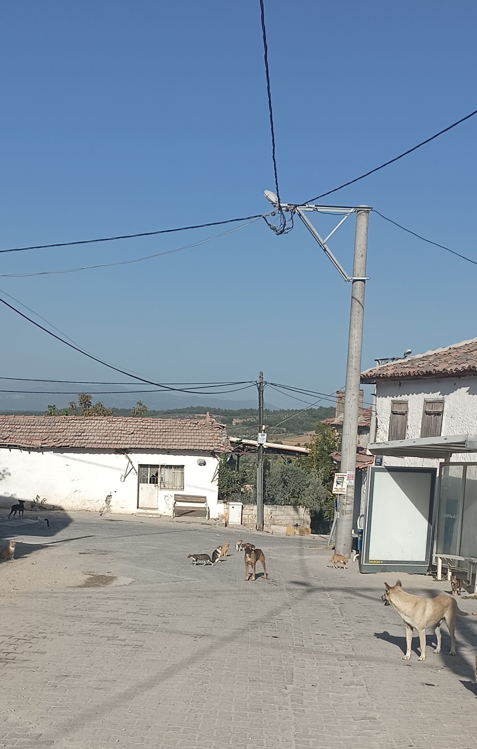 Étape 144 : Karacaagac vers Torbali — photo 2