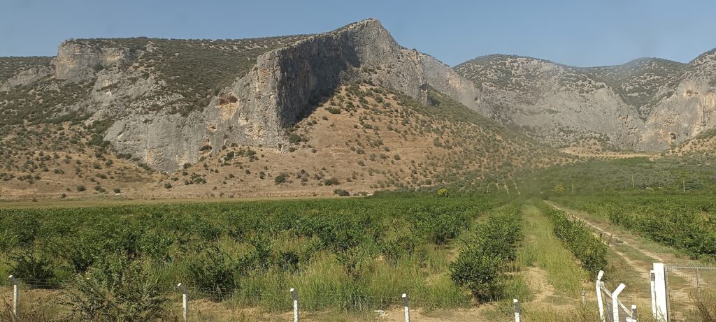 Étape 145 : Torbali vers Ortaklar — photo 3