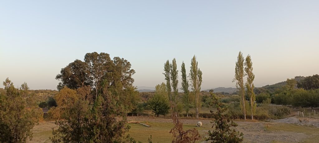 Étape 145 : Torbali vers Ortaklar — photo 5