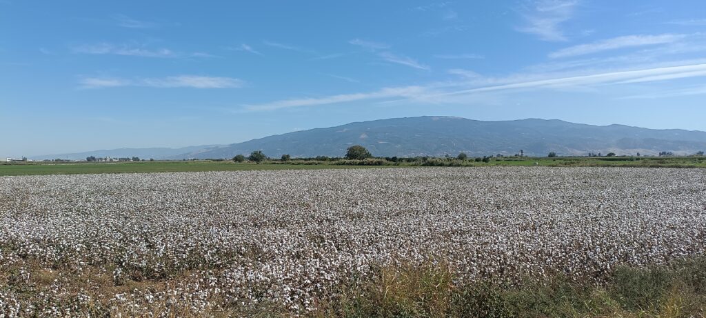 Étape 148 : Sultanhisar vers Kuyucak — photo 6