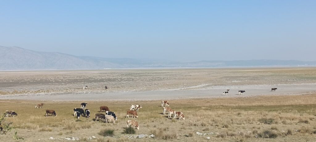 Étape 154 : Gemis vers Basmakci