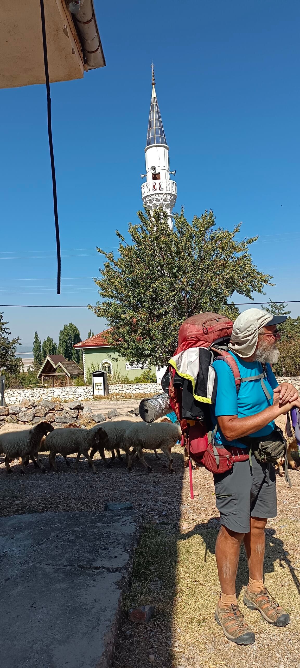Étape 154 : Gemis vers Basmakci — photo 5