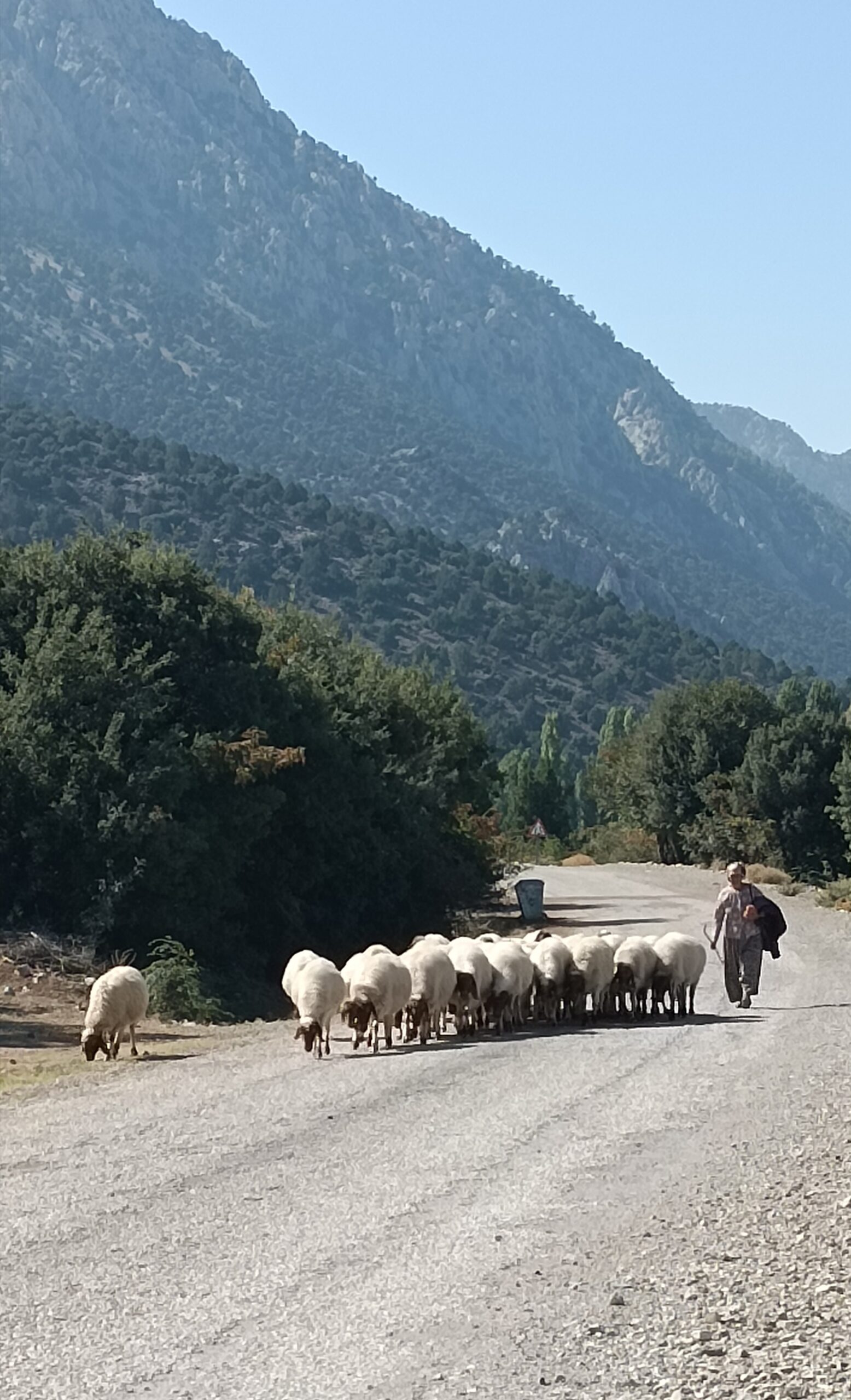 Étape 154 : Gemis vers Basmakci — photo 4