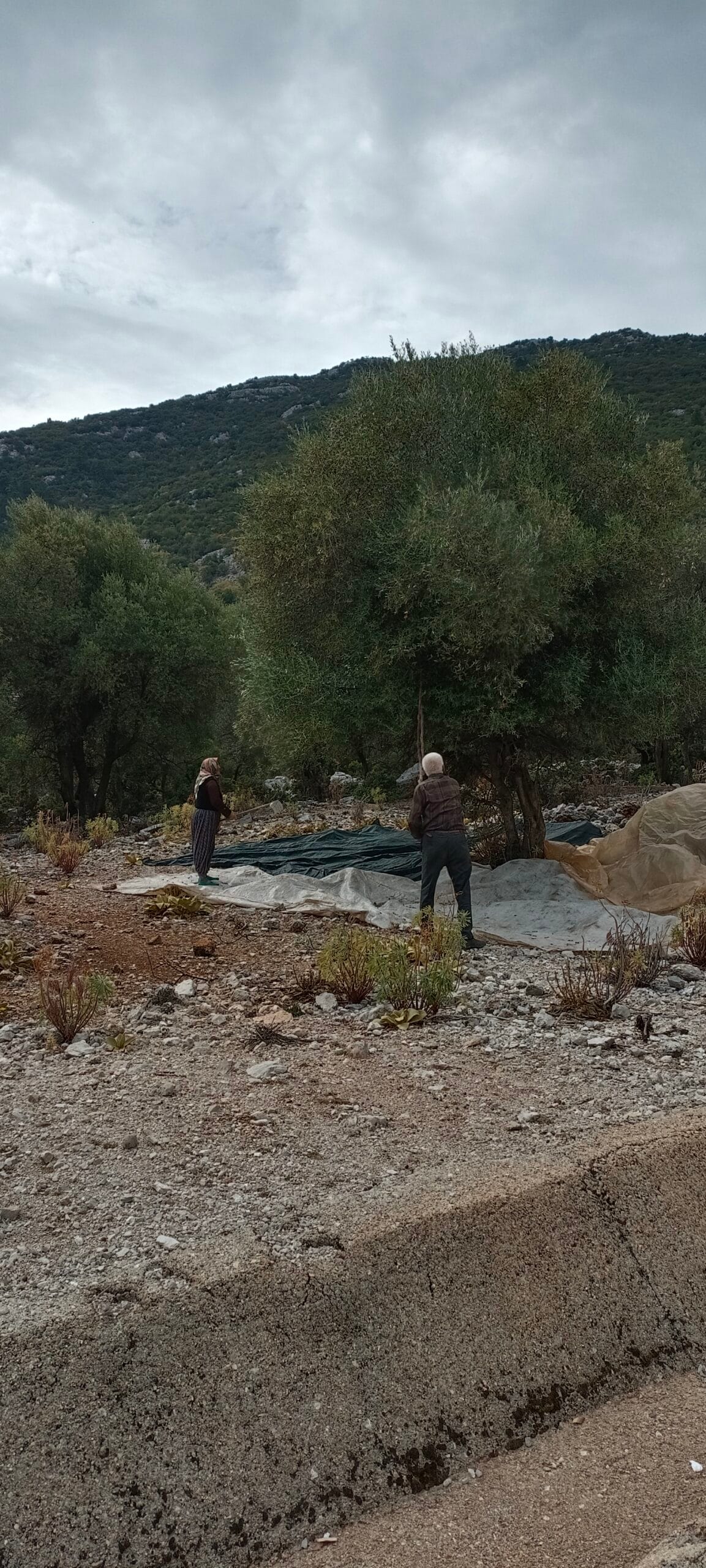 Étape 161 : Bagemagaci vers Dösemealti — photo 2