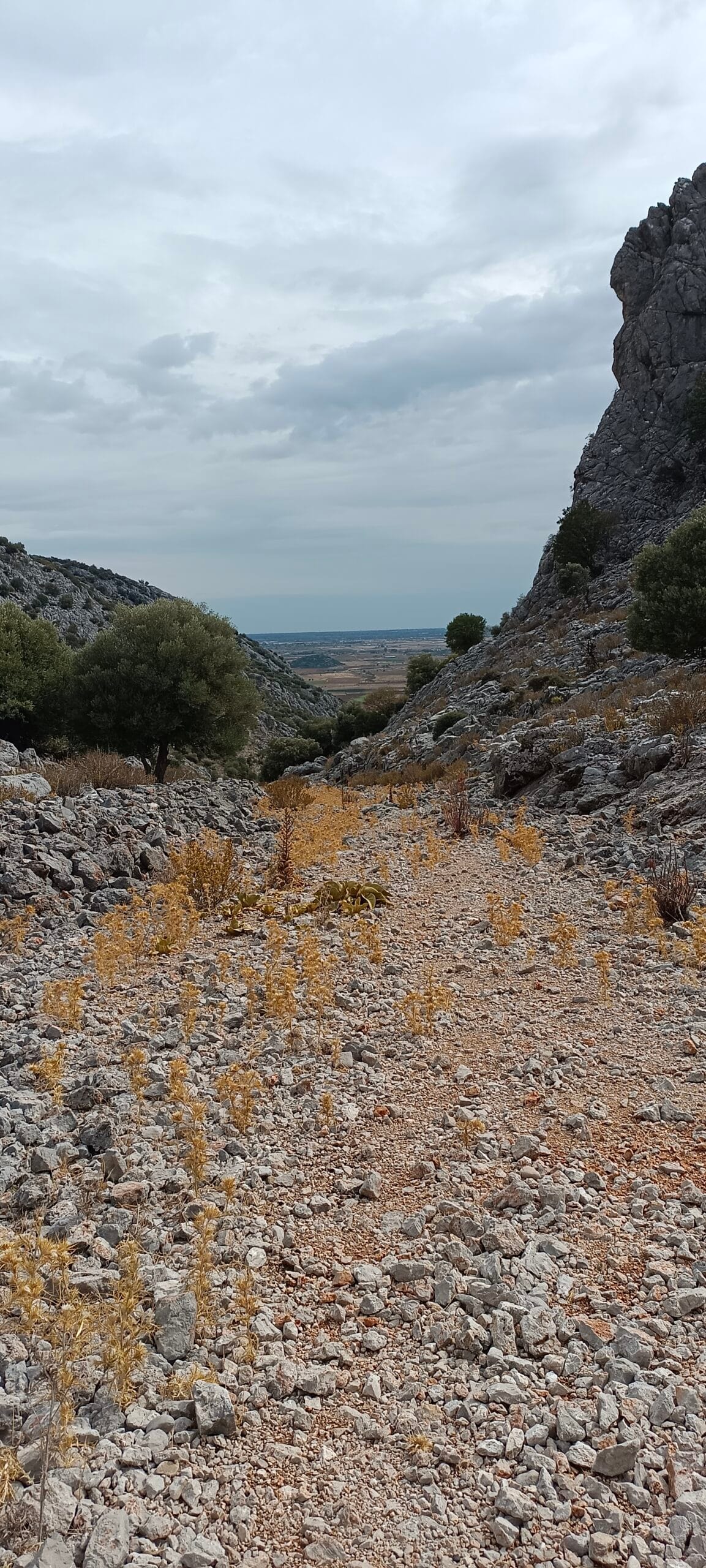 Étape 161 : Bagemagaci vers Dösemealti — photo 3