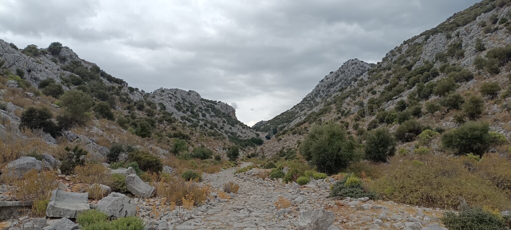 Étape 161 : Bagemagaci vers Dösemealti — photo 4