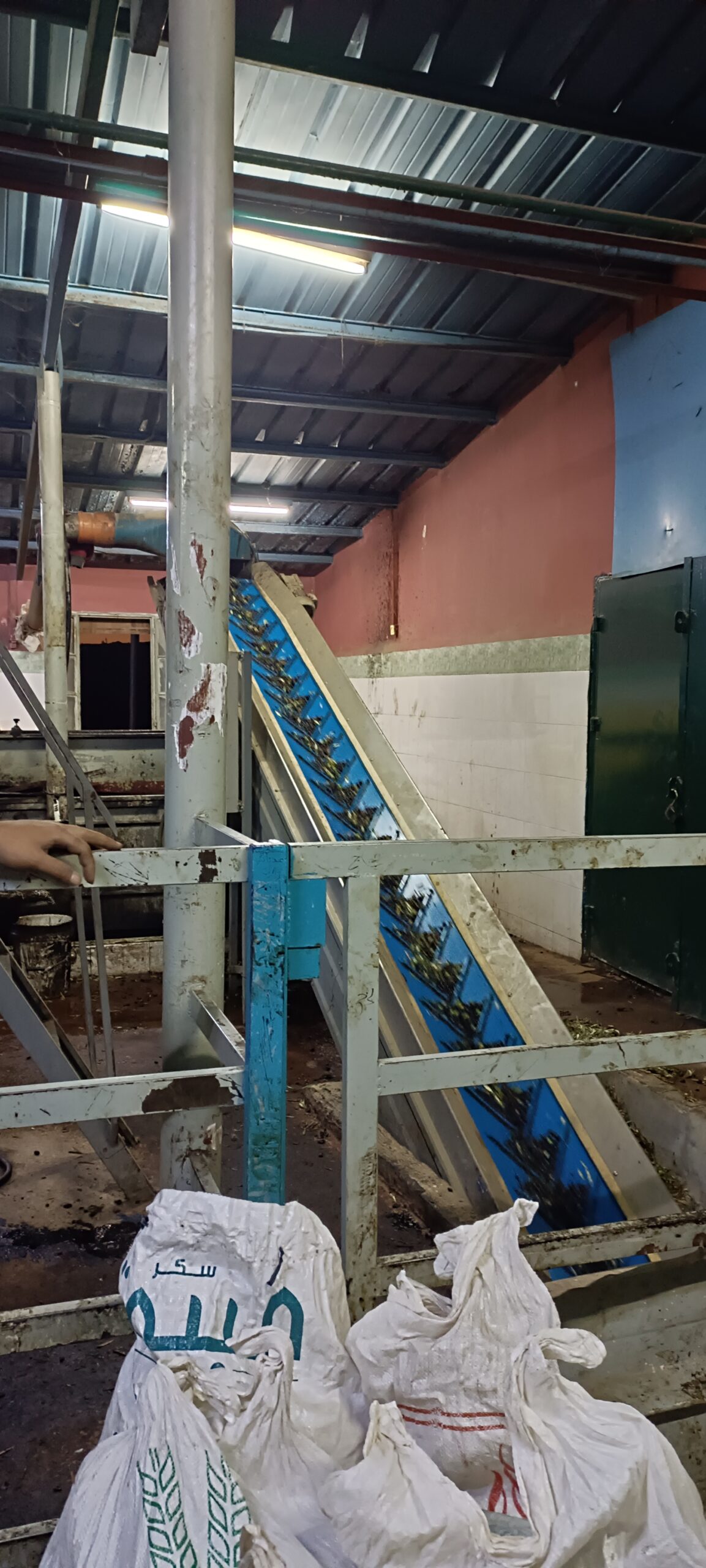 Étape 177 : Ofra vers Taybeh — photo 6