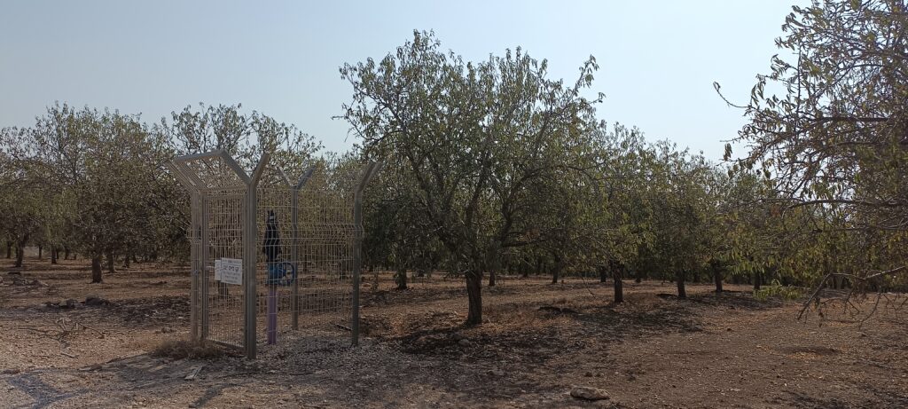 Étape 181 : Afula vers Nazareth — photo 2