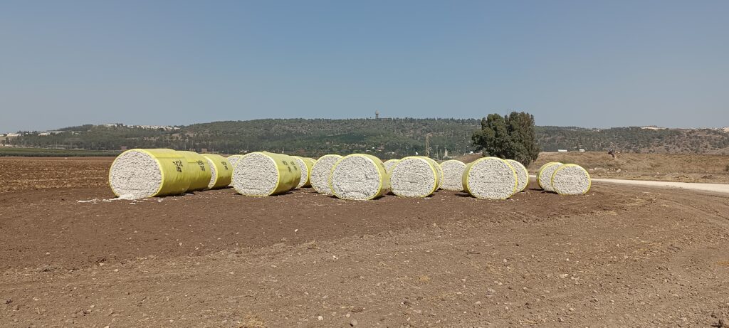 Étape 181 : Afula vers Nazareth — photo 3