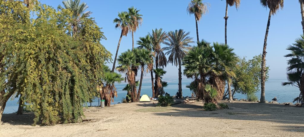 Étape 186 : Tiberias vers Tabgah