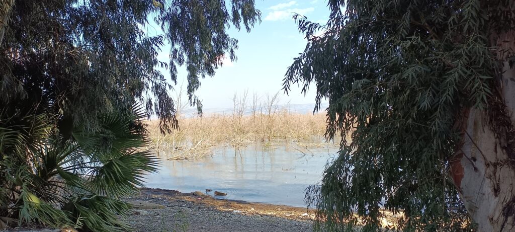 Étape 186 : Tiberias vers Tabgah — photo 5
